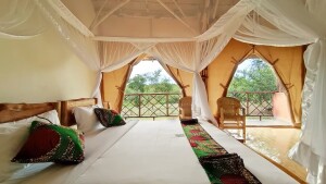 315f09_0fced196d9214013a296c0546fac0f33_mv2