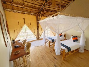 315f09_311d74de004d4777bf4da561fd03c443_mv2