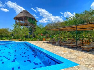 315f09_42e2565f57434890a33e41aefa0ddcc3_mv2