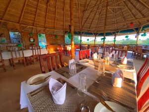 315f09_88c8f34ca19e49668467f1a2a8d82247_mv2