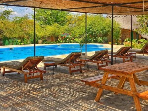 315f09_c5884268bd5941c0812dee5948cf1b02_mv2