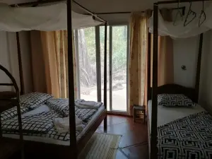 Ankarana_room