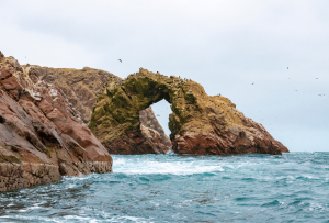 ballestas