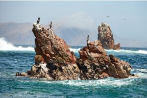 Ballestas_new