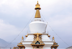 Bhutan_National_Memorial_Chorten