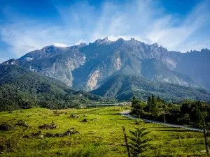 Borneo_Malese_Sabah