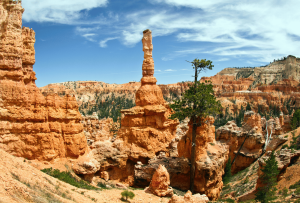Bryce_Canyon_National_Park_