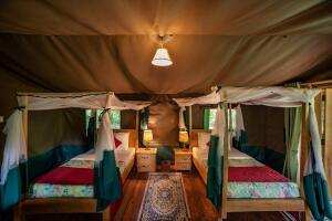 bugoma-jungle-lodge-ujl-twin-4191-scaled-2048x1367