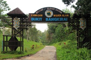 Bukit-Bangkirai-min