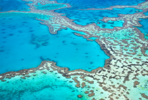 Cairns grande barriera corallina