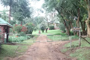 Chimpanzee Forest Guest House Ingresso
