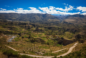 colca__4_