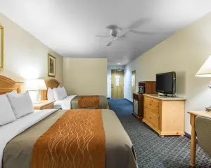 comfort-inn-sequoia08