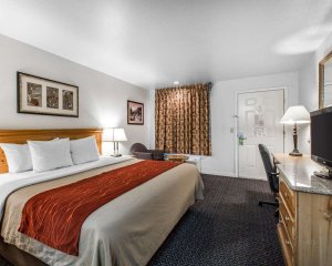 comfort-inn-sequoia13
