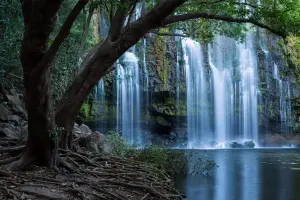 CostaRica_CatarataLlanos_De_Corte