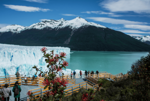 el_calafate__3_