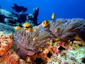 Eriyadu_Island_Resort_2