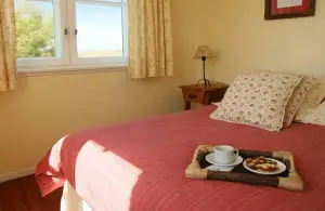 faro_room