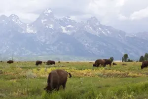 grand-teton01