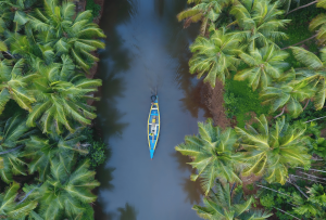 india_kumarakom
