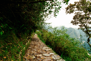 Intipunku