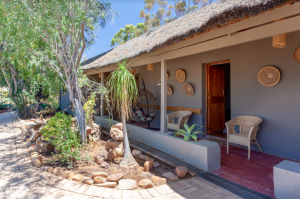 Inverdoorn_Game_Reserve_Lodge_Room_2