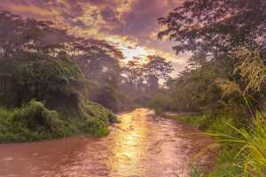 Ishasha_river
