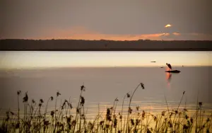 iSimangaliso_Wetland_Park_3