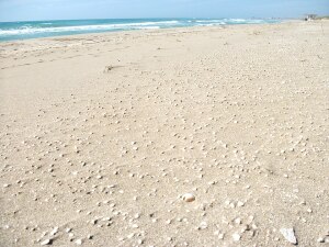 Italia_-_Ciclonica_Ugento