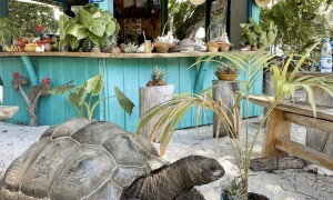 La_Digue_Island_Lodge_28