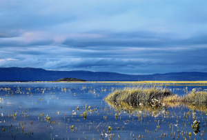 lago_argentino