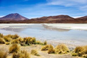 Laguna_Hedionda__Bolivia