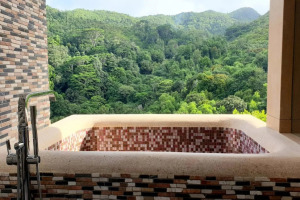 Le_Duc_de_Praslin_12