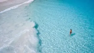 LemuriaCostancePraslin4
