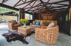 Little_Africa_Kruger