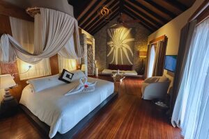 l_orangerie_la_digue_1