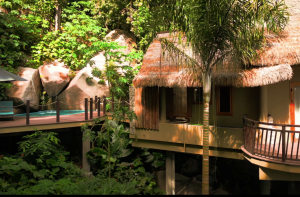 l_orangerie_la_digue_12