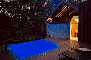 l_orangerie_la_digue_13