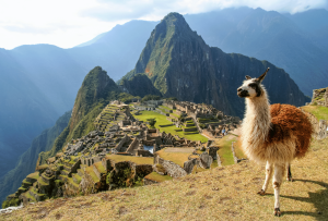 machu_picchu__2_