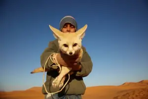 Marocco_fennec_animal_merzouga