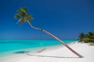 Meeru_Maldives_Resort_Island_4
