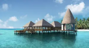 Meyyafushi_Wine_Cellar