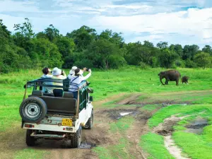 minneriya_safari_sri_lanka