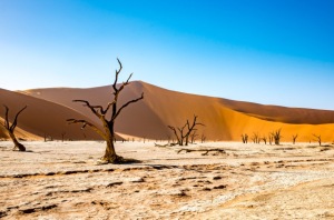 Namib