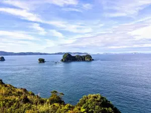 new-zealand-coromandel-small