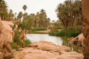 Oasis-dIHrir-2_jpg