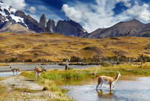 Parco_Nazionale_Torres_del_Paine