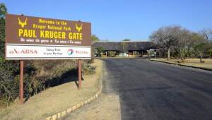 paul-kruger-gate-01-786x446