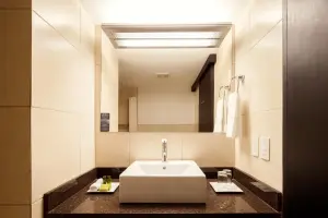 Presidente_bagno