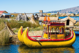 puno__2_